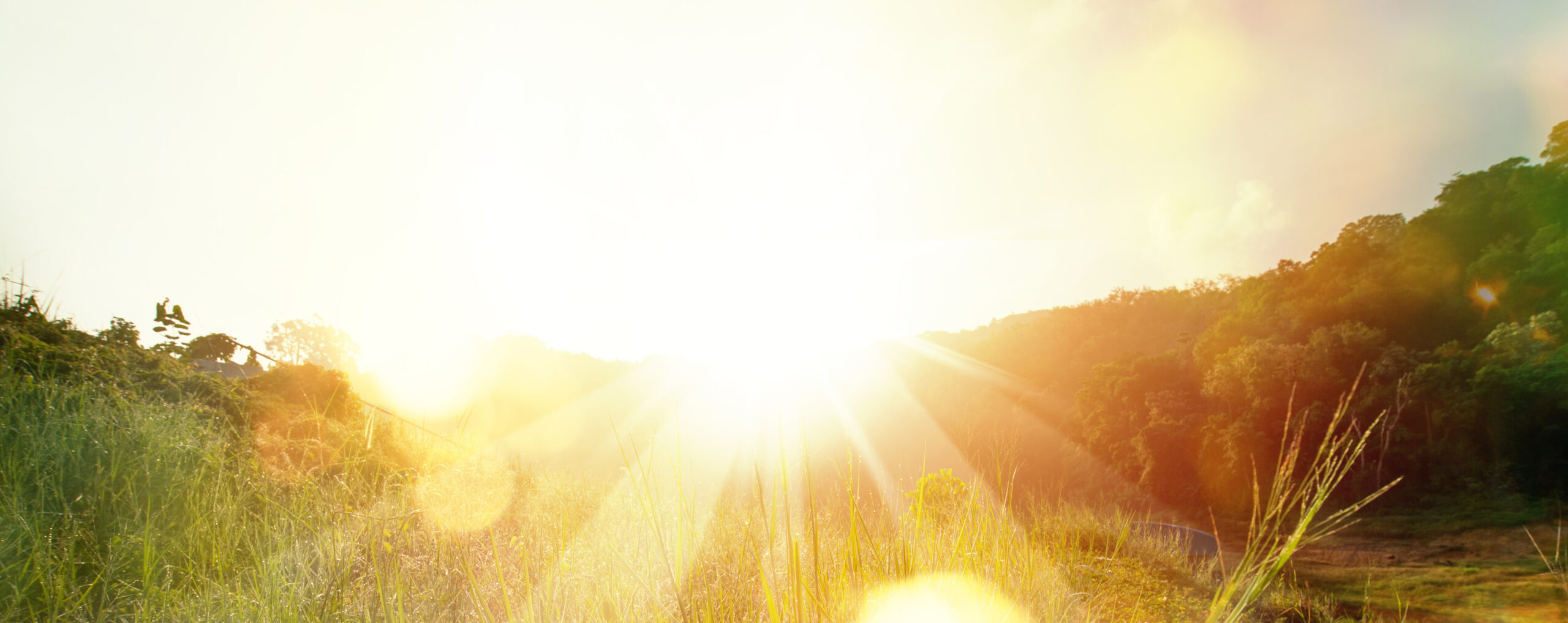 De zon schijnt… en je factuur blijft toch hoog?
